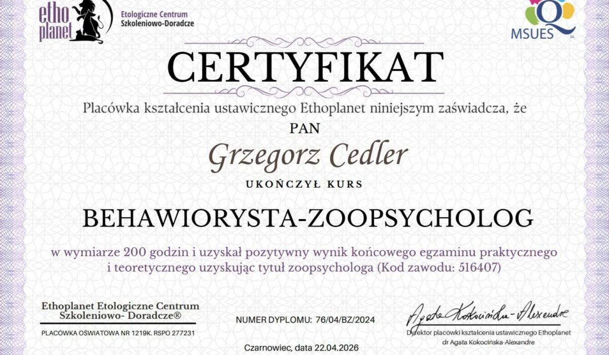 Moje dyplomy